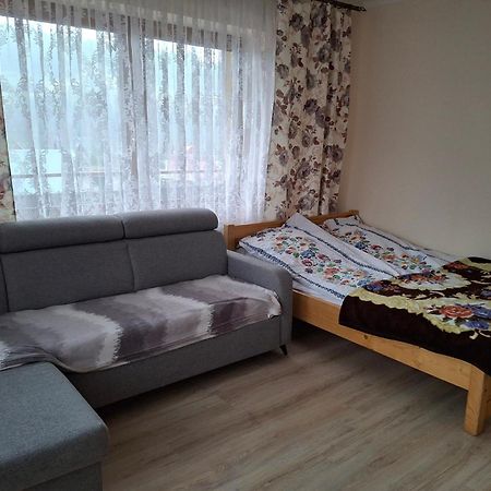 Apartamenty U Gabi Poronin Luaran gambar