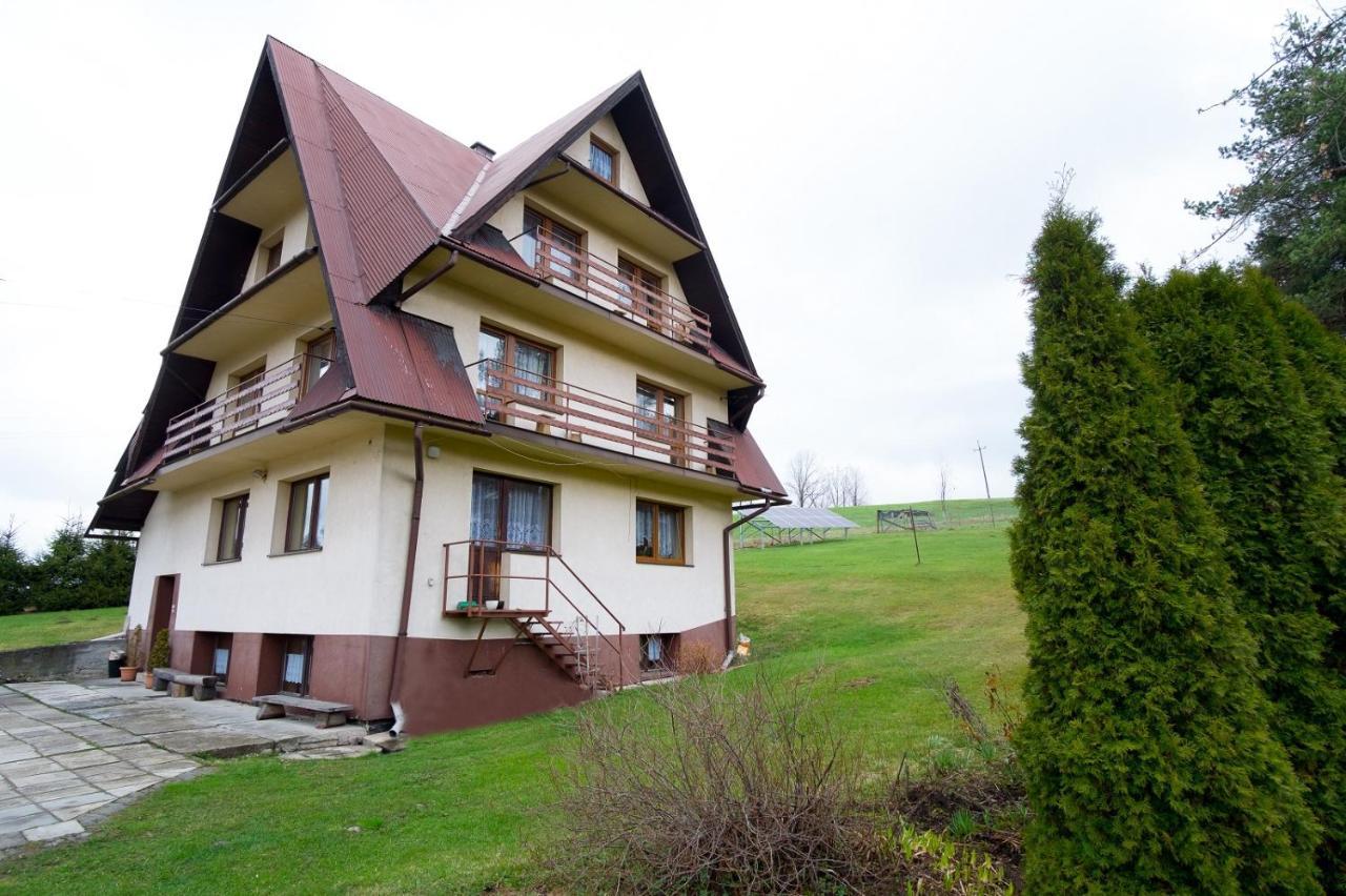 Apartamenty U Gabi Poronin Luaran gambar